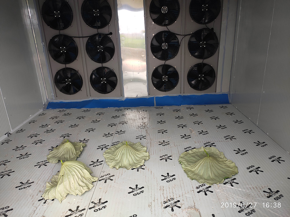 食用菌烘干工程