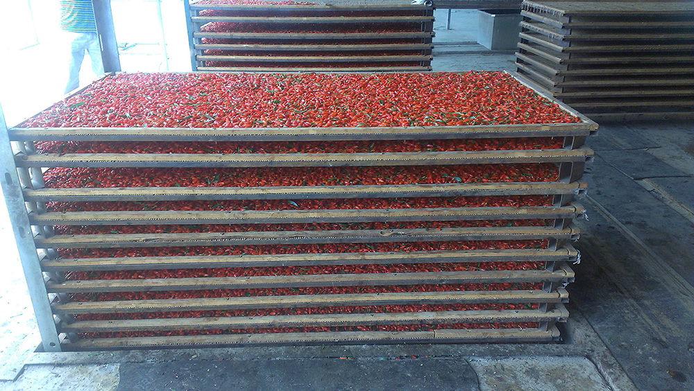 枸杞烘干工程