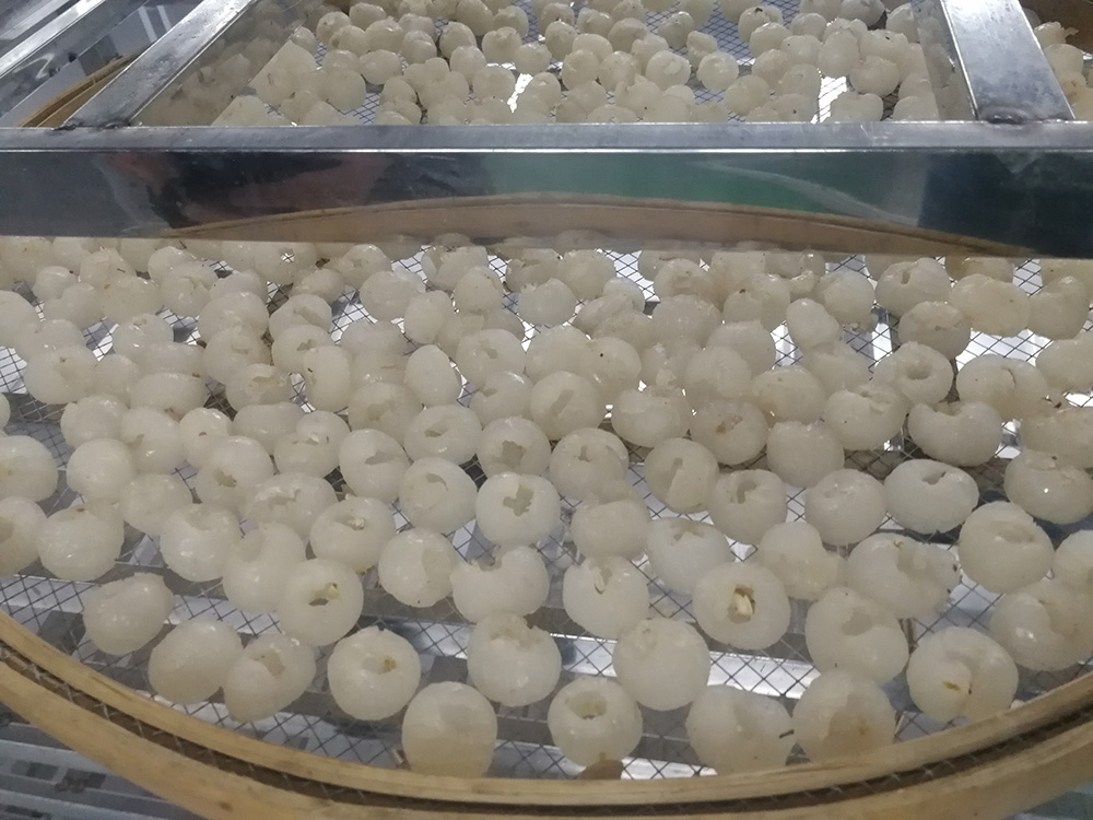 龍眼烘干工程