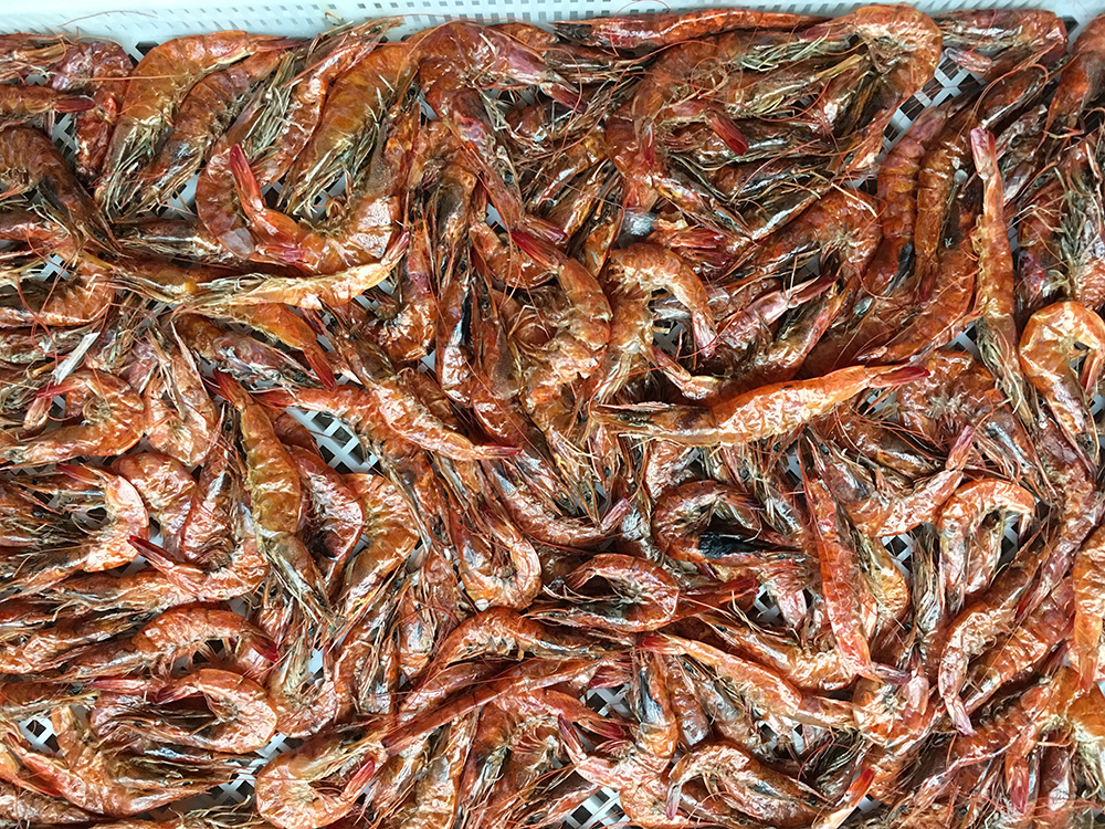 海產(chǎn)品烘干工程
