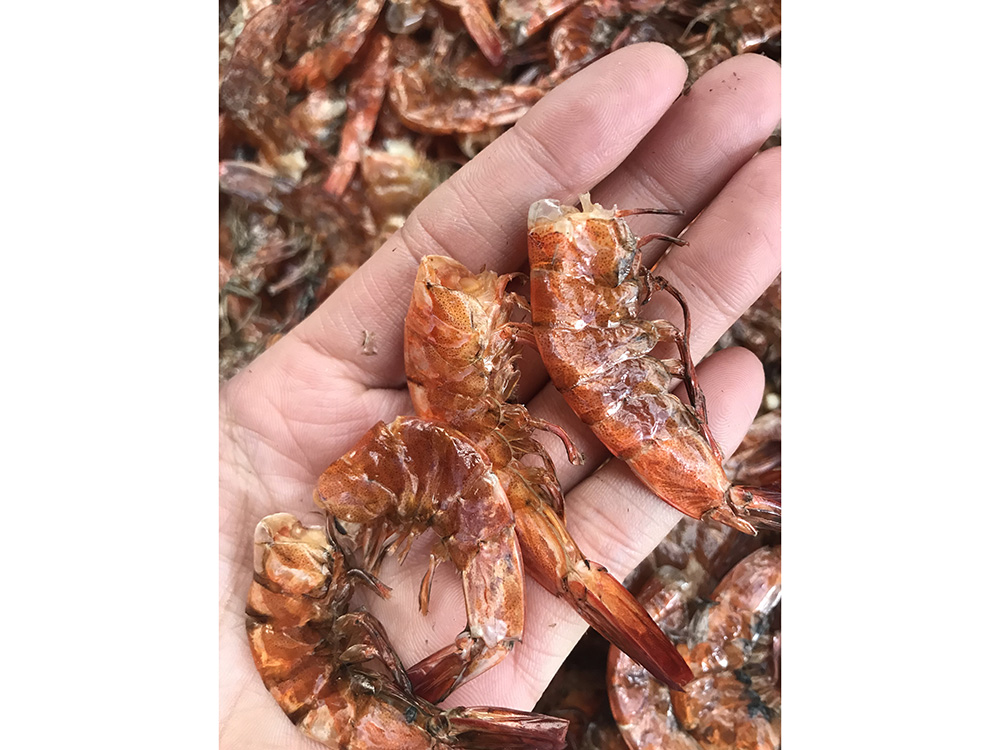 海產(chǎn)品烘干工程